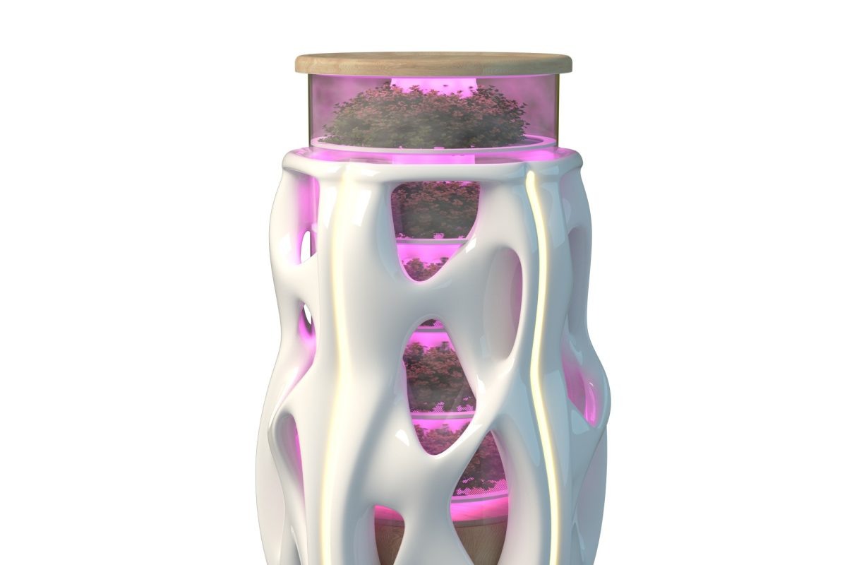    36 млн рублей грантовой поддержки получили победители конкурса ФСИ «Студенческий стартап»