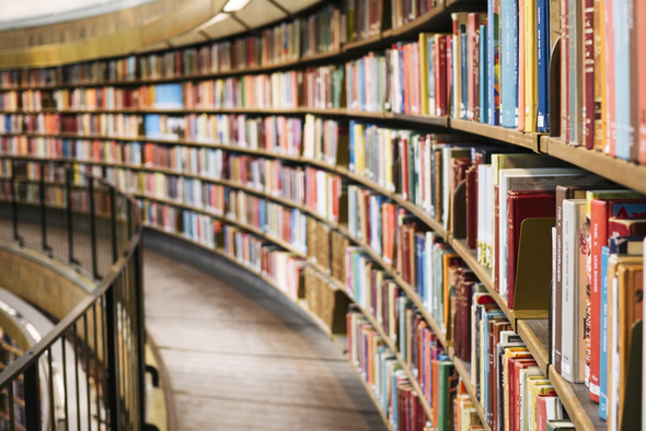     Susan Q Yin/Unsplash