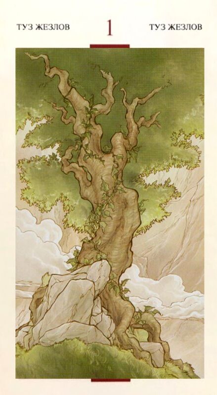 #таро#таросвятогограаля#значениетаро#толкованиекарт#tarotoftheholygrail#тузжезлов#таротузжезлов#aceofwands#младшиеарканы#holygrail#tarotminorarcana