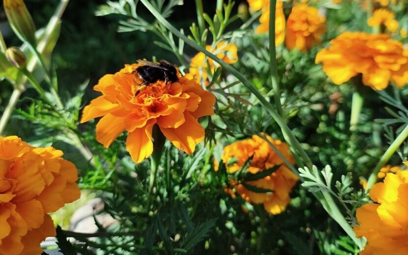    Погода в Ижевске на день: 13 сентября ждем до +18°С и ночные заморозки