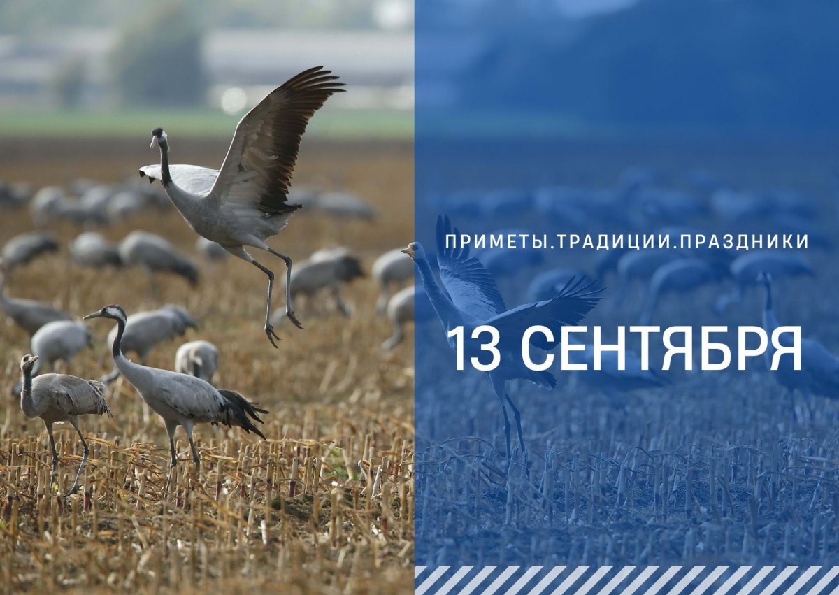   ГТРК "Ставрополье"