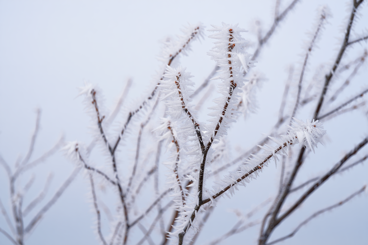    Фото: сгенерировано ИИ, источник: reve.art