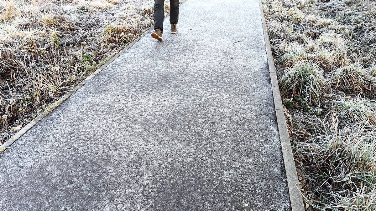    Фото: Василий Кузьмиченок / АГН Москва