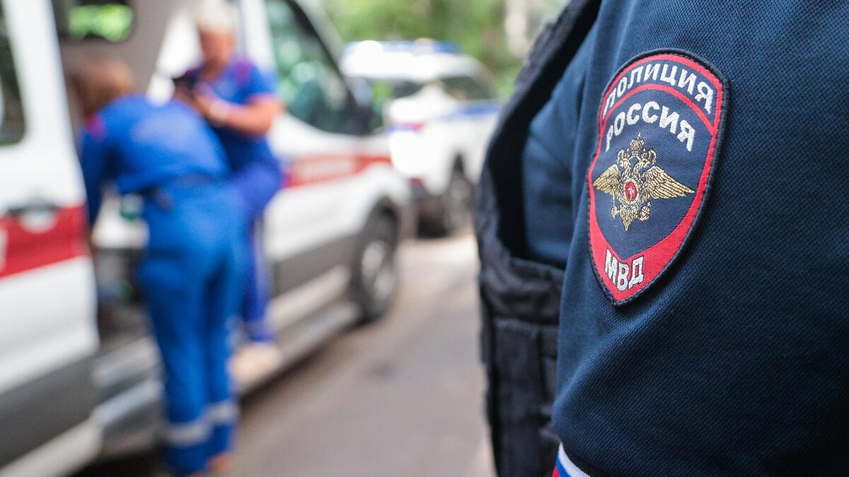    Фото: Belkin Alexey/globallookpress.com