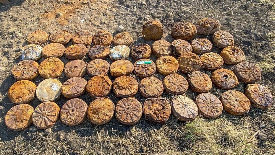    Автор фото: Пресс-служба МЧС по Петербургу и Ленинградской области