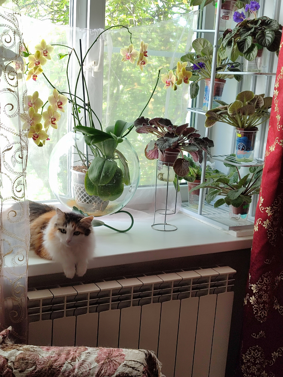 Мой дом - моя тихая гавань. 