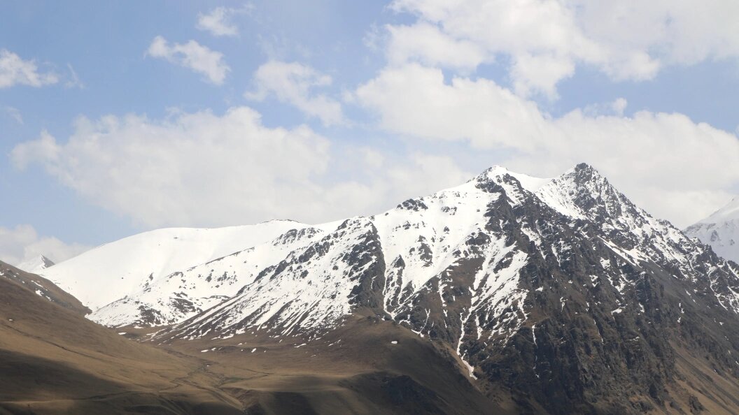    Фото: Globallookpress