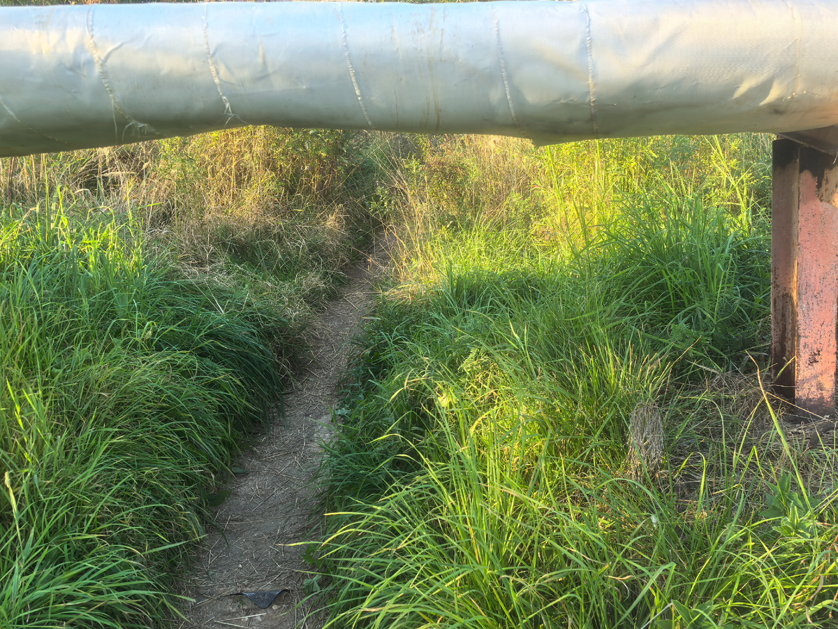 Точно, вызов! 