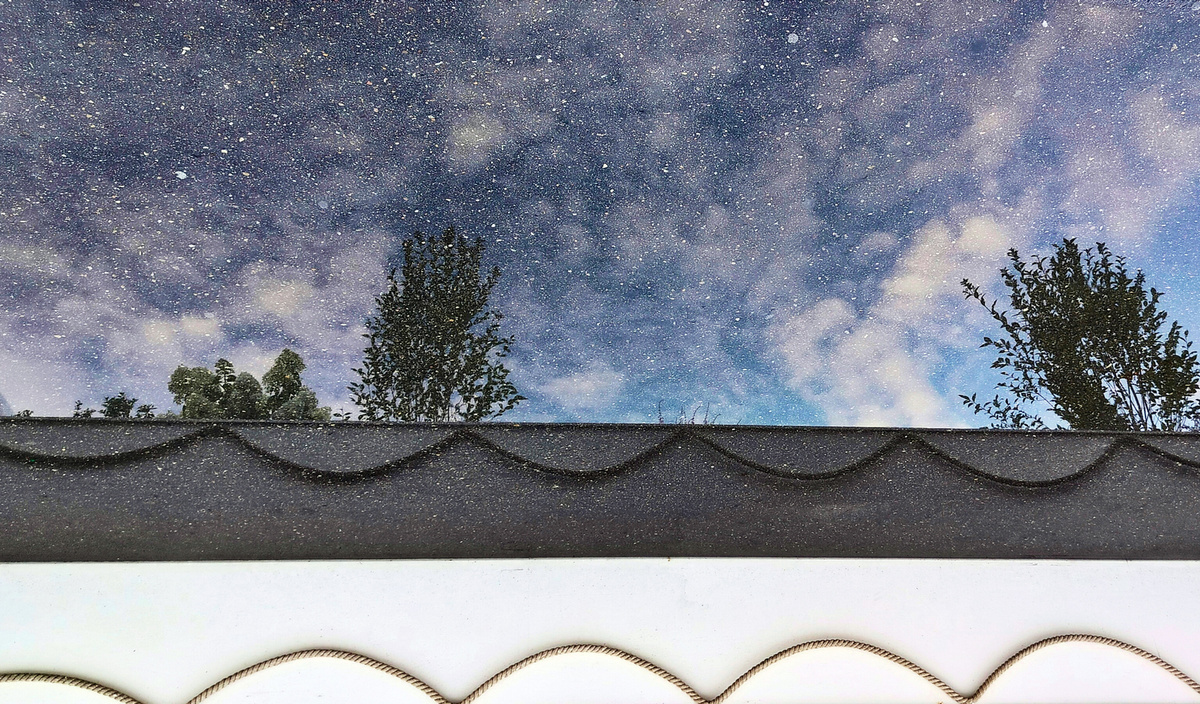 Абрамова Анна