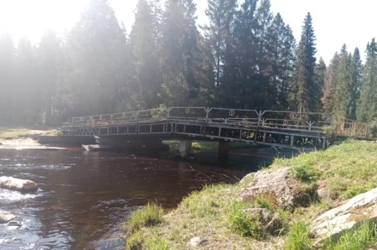    В Петрозаводске построят новый Курганский мост