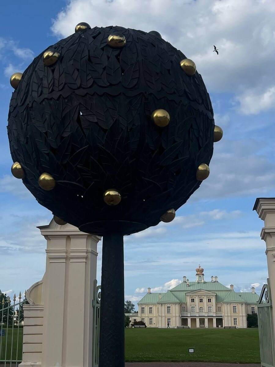 Апельсиновое дерево