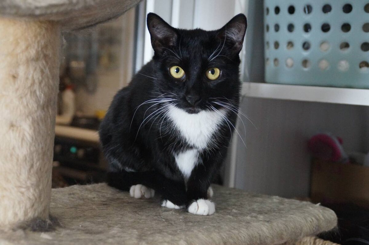 И снова здравствуйте!