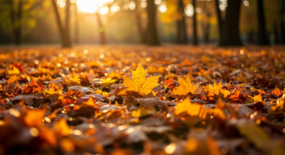 Shutterstock: InspireNest