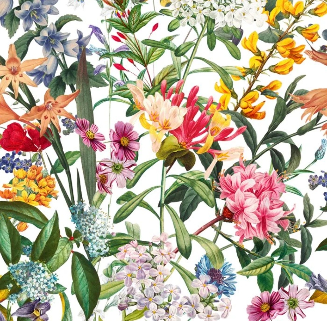 Летние сны. Картины  Бурчу Коркмазюрек