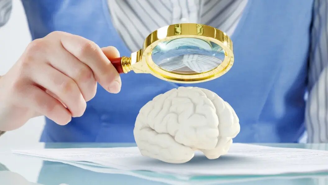    Фото: Shatterstock