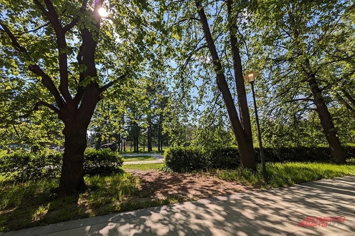    В Ростове обсудили благоустройство южного берега Северного водохранилища