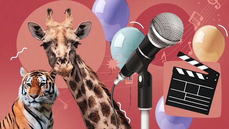      Фото: Камилла Улубаева / / ИА «Победа26»