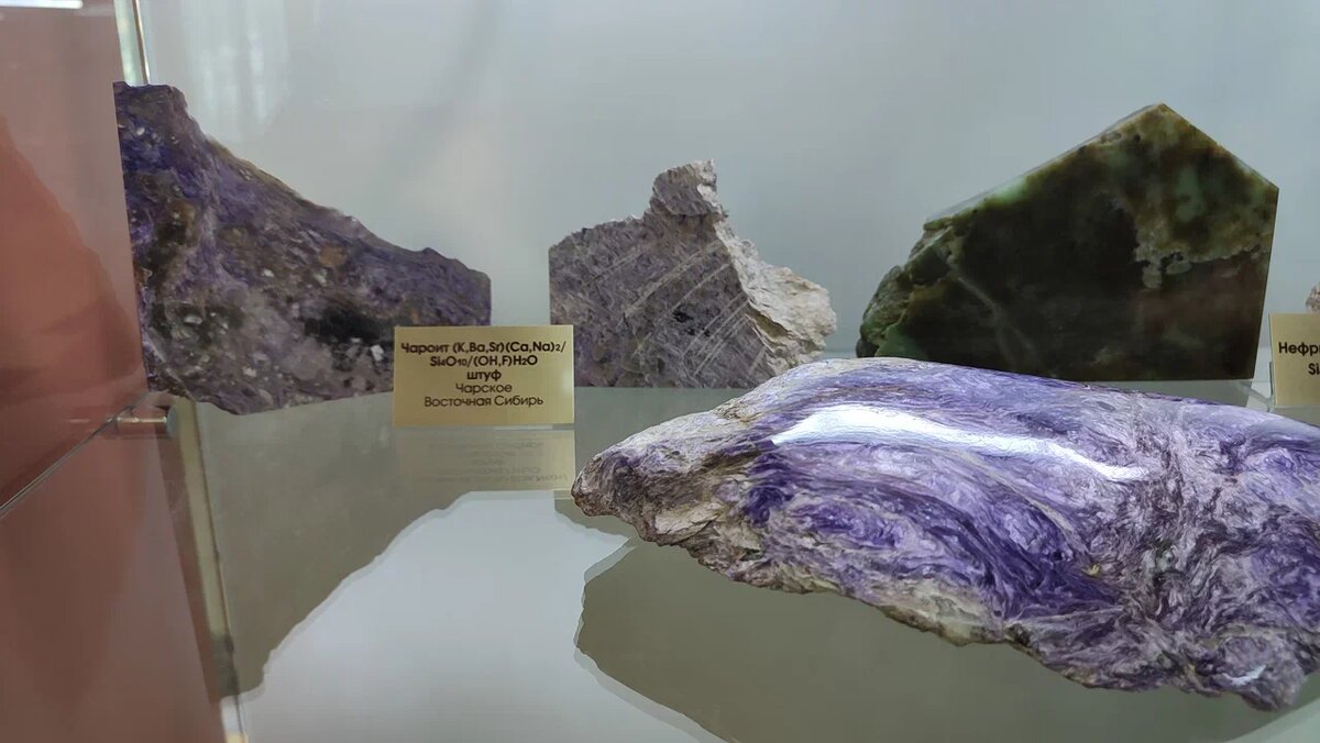 Фото из личного альбома Н. Жолудь