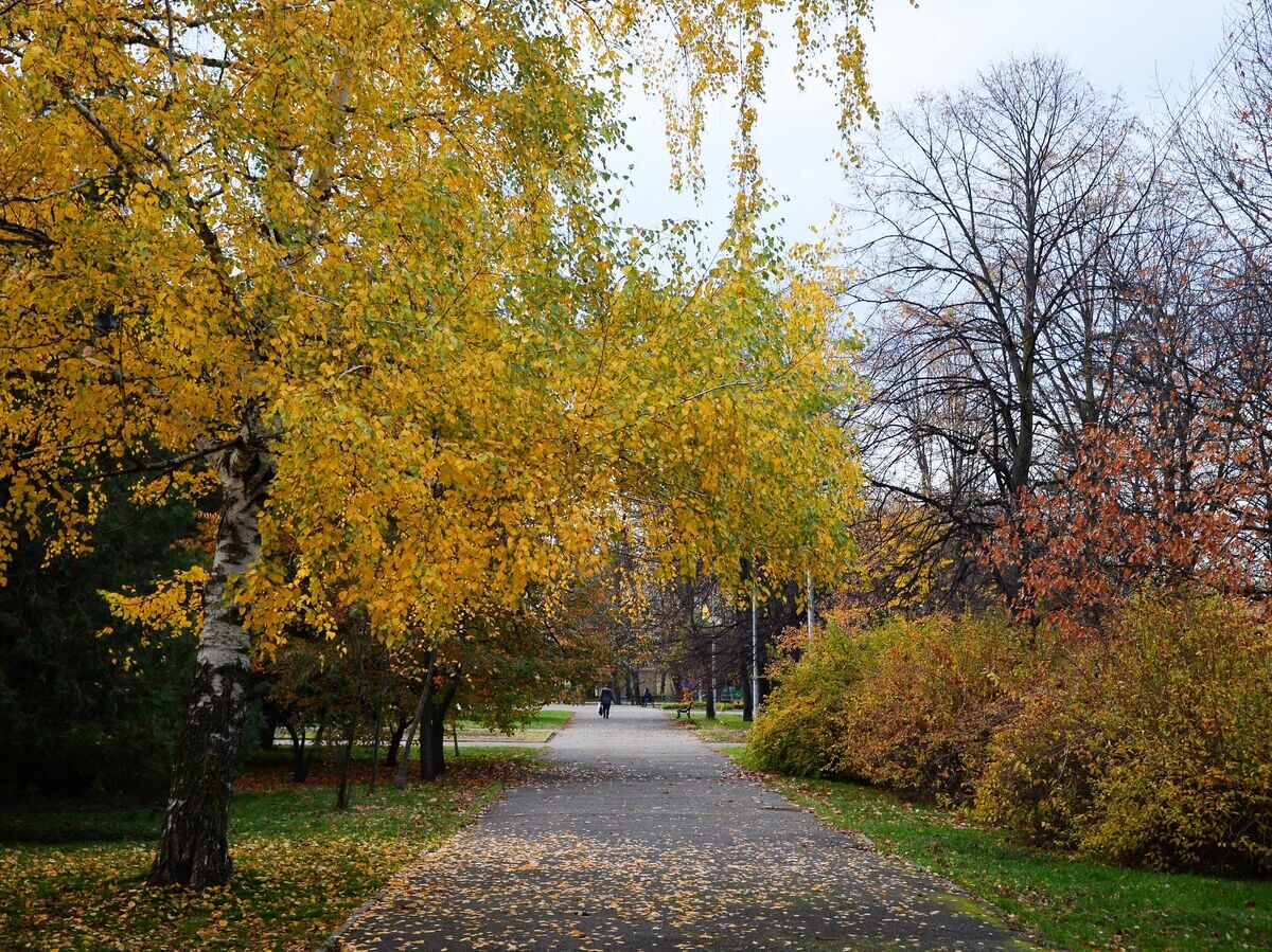    Парк в городе Майкопе© РИА Новости / Нина Зотина