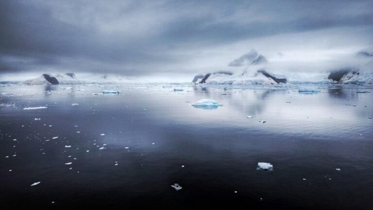 Фото: wiki commons/owamux/CC BY 2.0