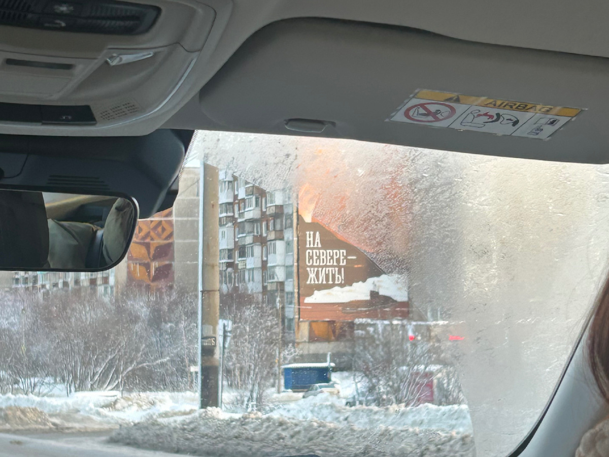 На севере - жить!❄️