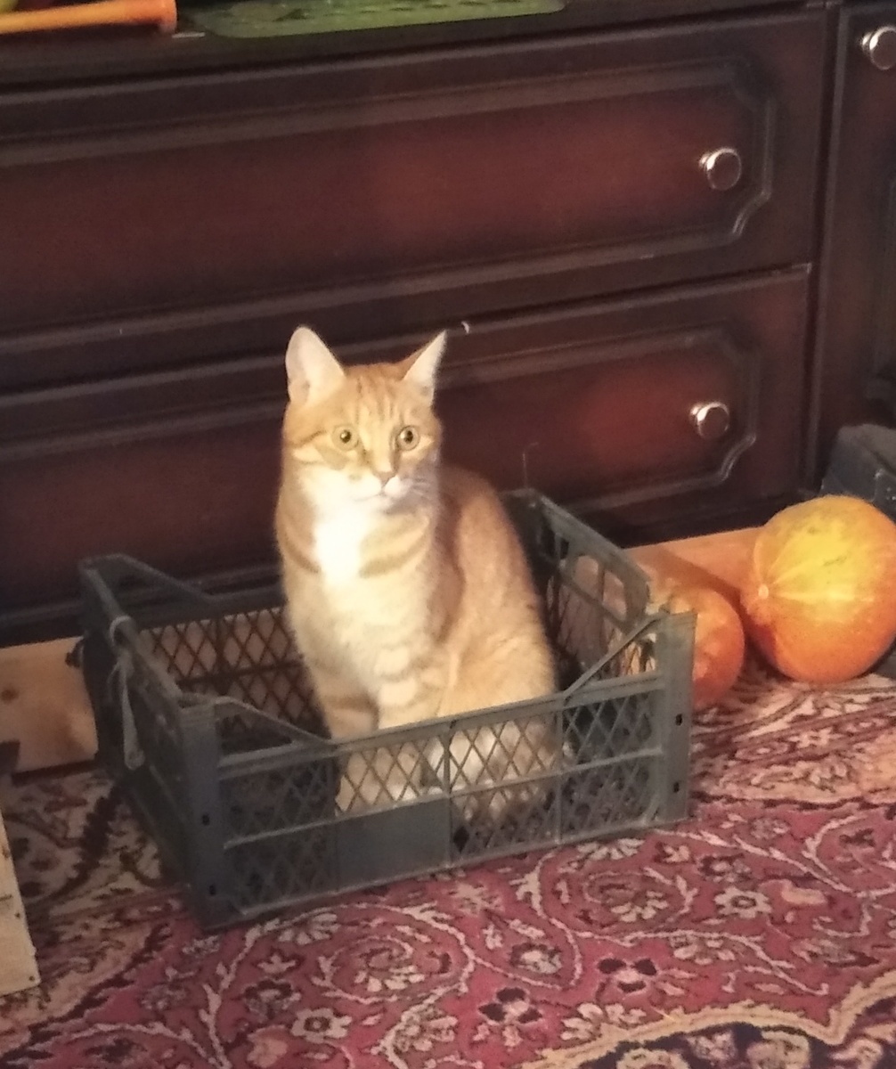 Личное фото