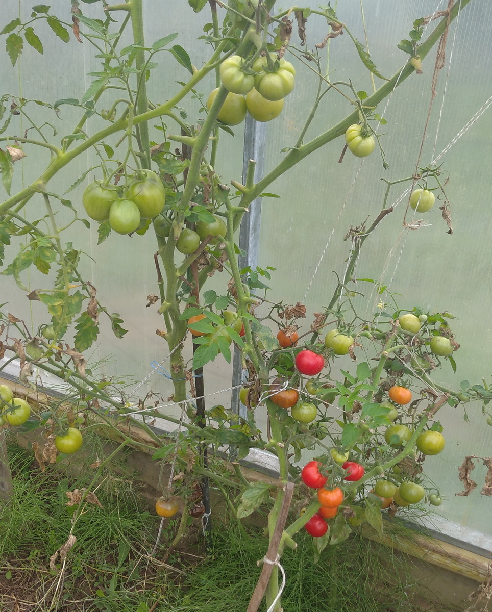 Личное фото