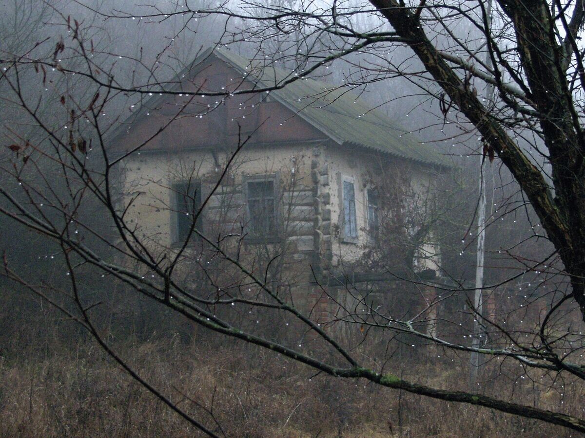    Брошенная деревня© РИА Новости / Андрей Архипов