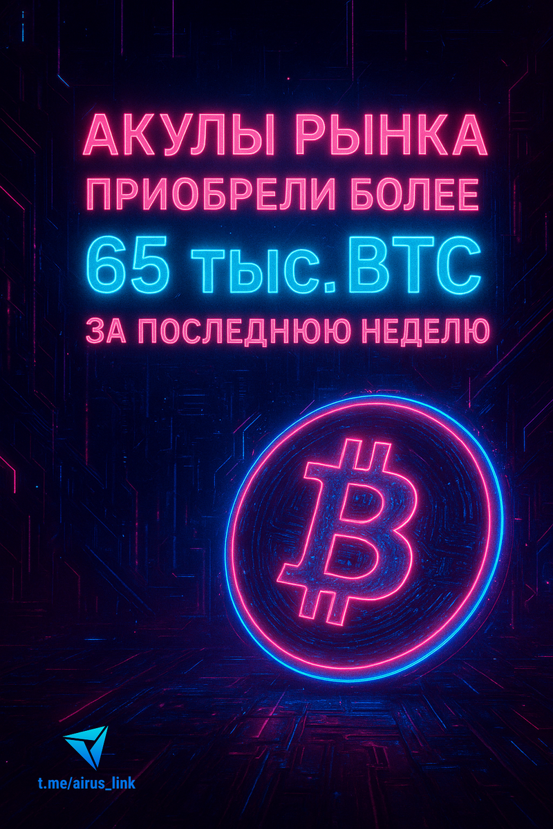 🦈 Акулы рынка приобрели более 65 тыс. BTC за последнюю неделю