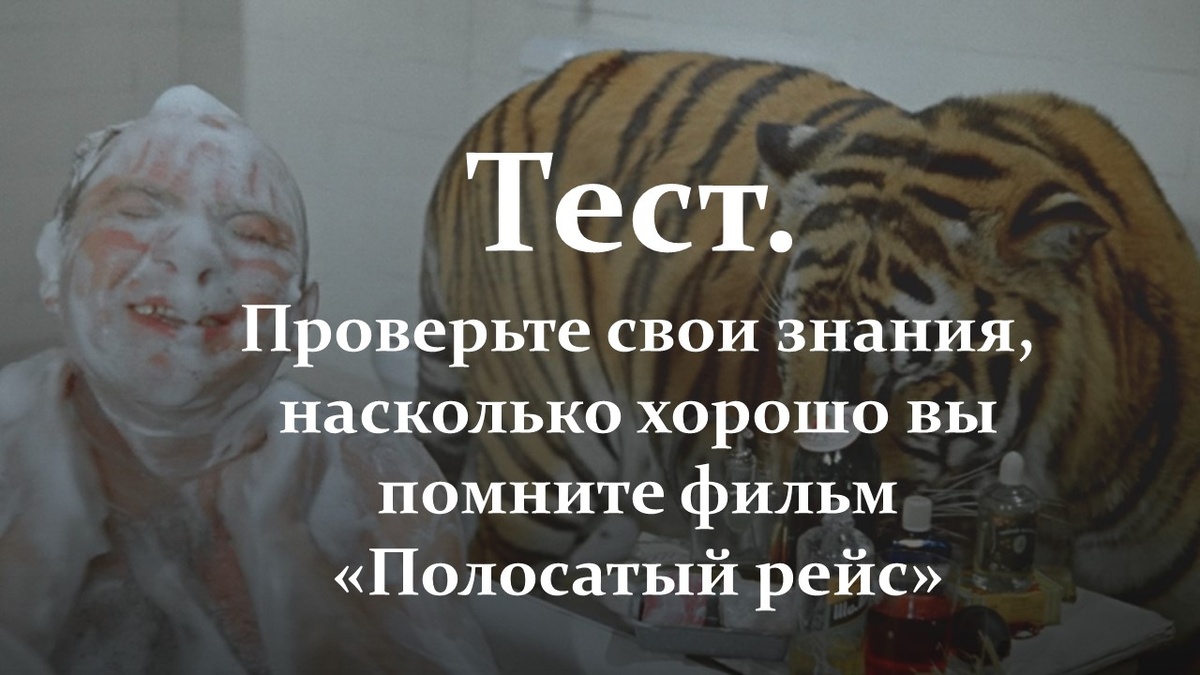 Тест. Фильм «Полосатый рейс».