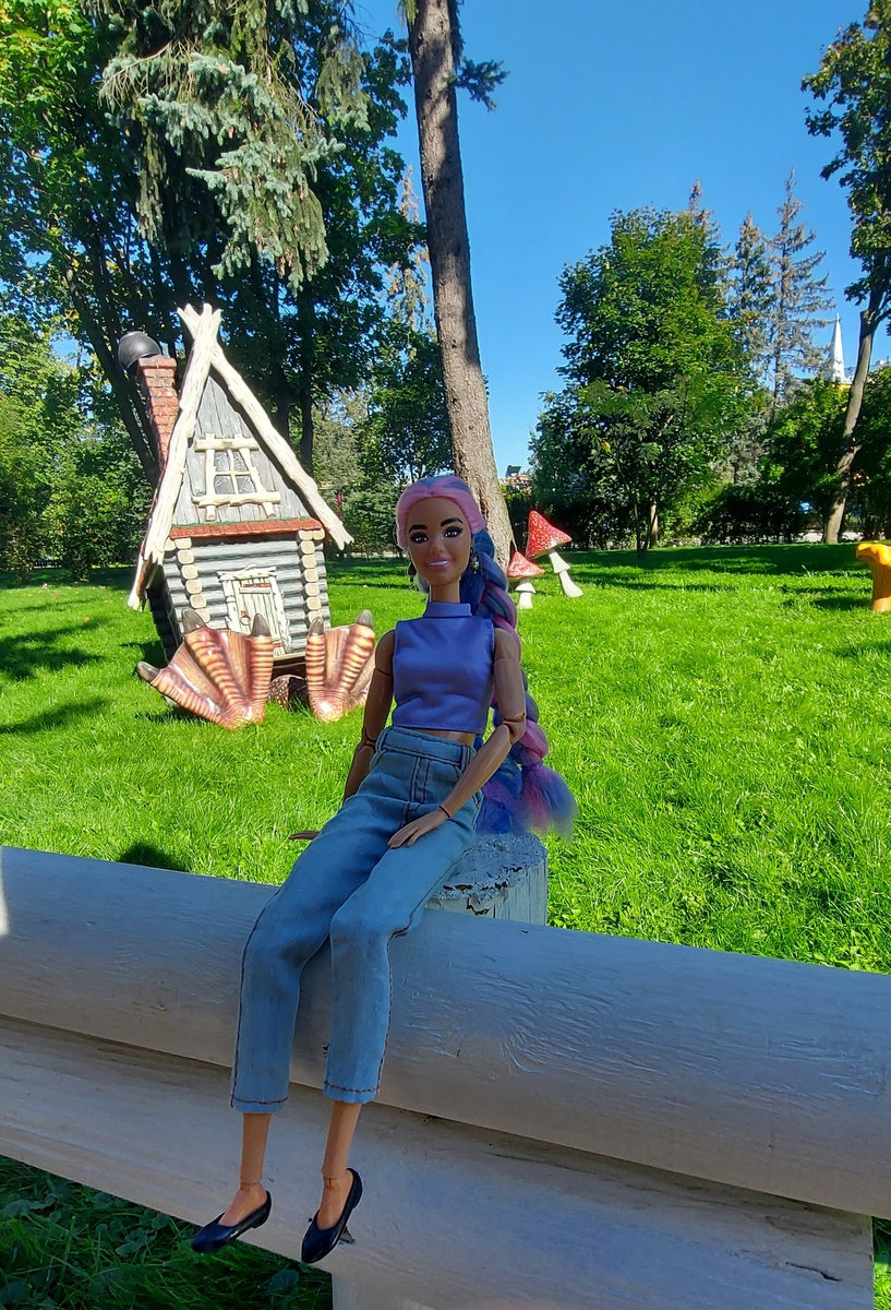 Флай на территории парка "Диво Остров". Фото автора канала.