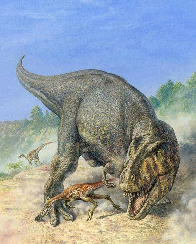 Реконструкция Марка Халлета