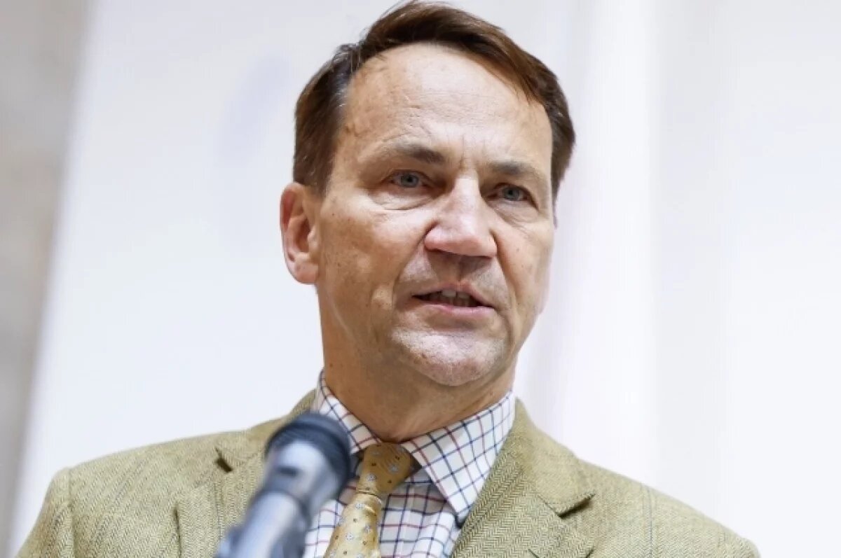    Сикорский: дроны 10 сентября влетали в Польшу, в том числе, из Украины