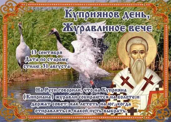 свобод.источник