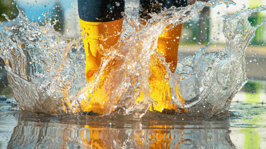    Shutterstock/FOTODOM