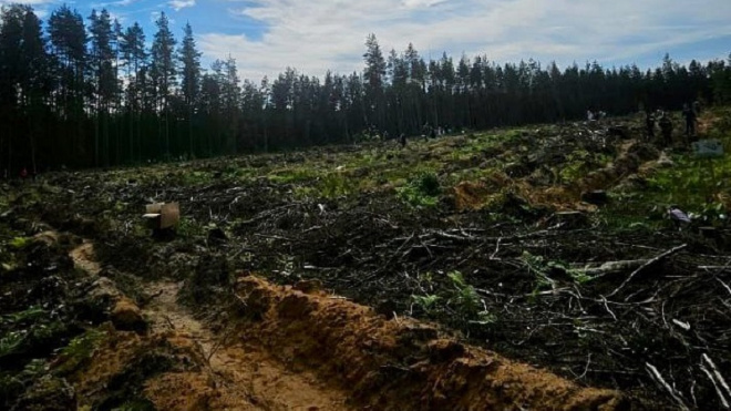 Фото: комитет по АПК Ленобласти