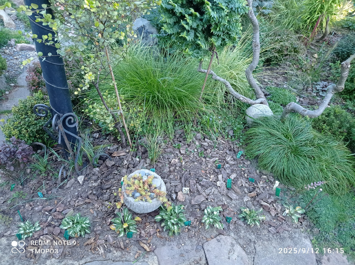 первый взгляд