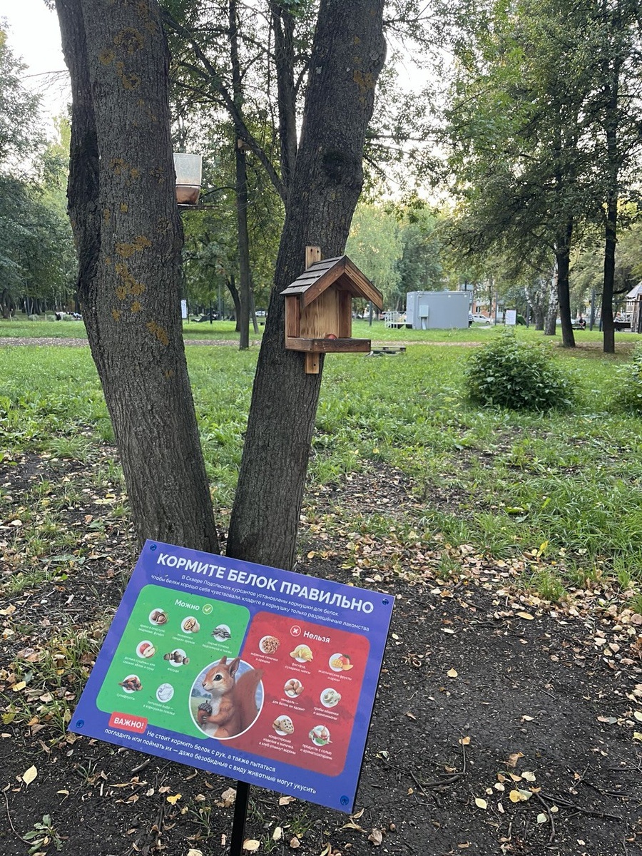 В парке живут белочки. Для них устроены кормушки. 