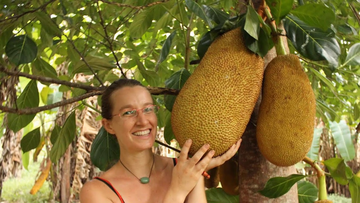 Плоды джекфрута