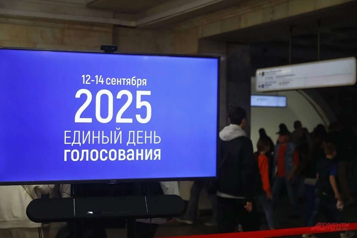    Самые активные избиратели живут в Сарове, Починках и Урене