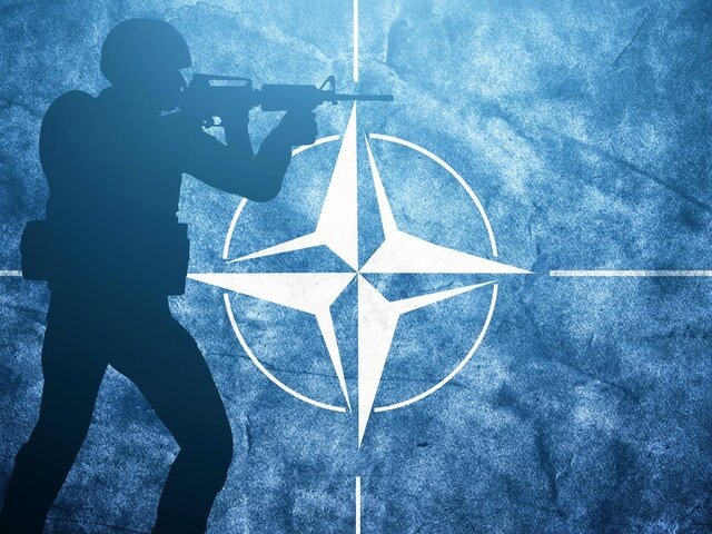    Фото: 123RF/niserin