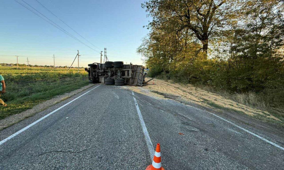    Фото t.me/gulkevichim