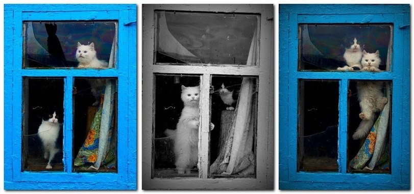 фото из открытого источника интернет