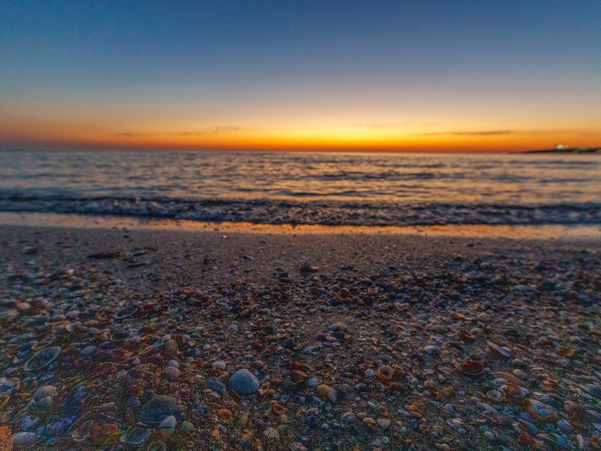 Фото: Михаил Васильев