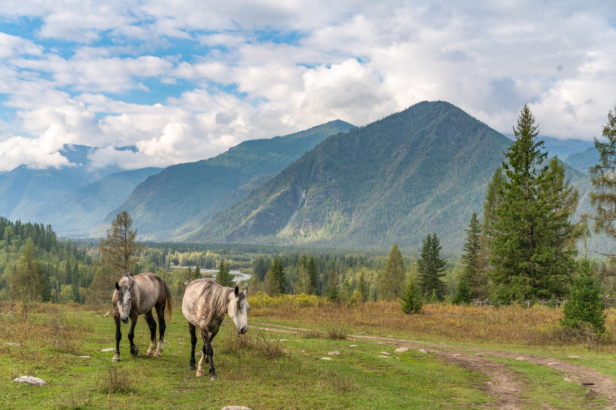 между Катандой и Тюнгуром, конец Августа, это и последующие фото мои