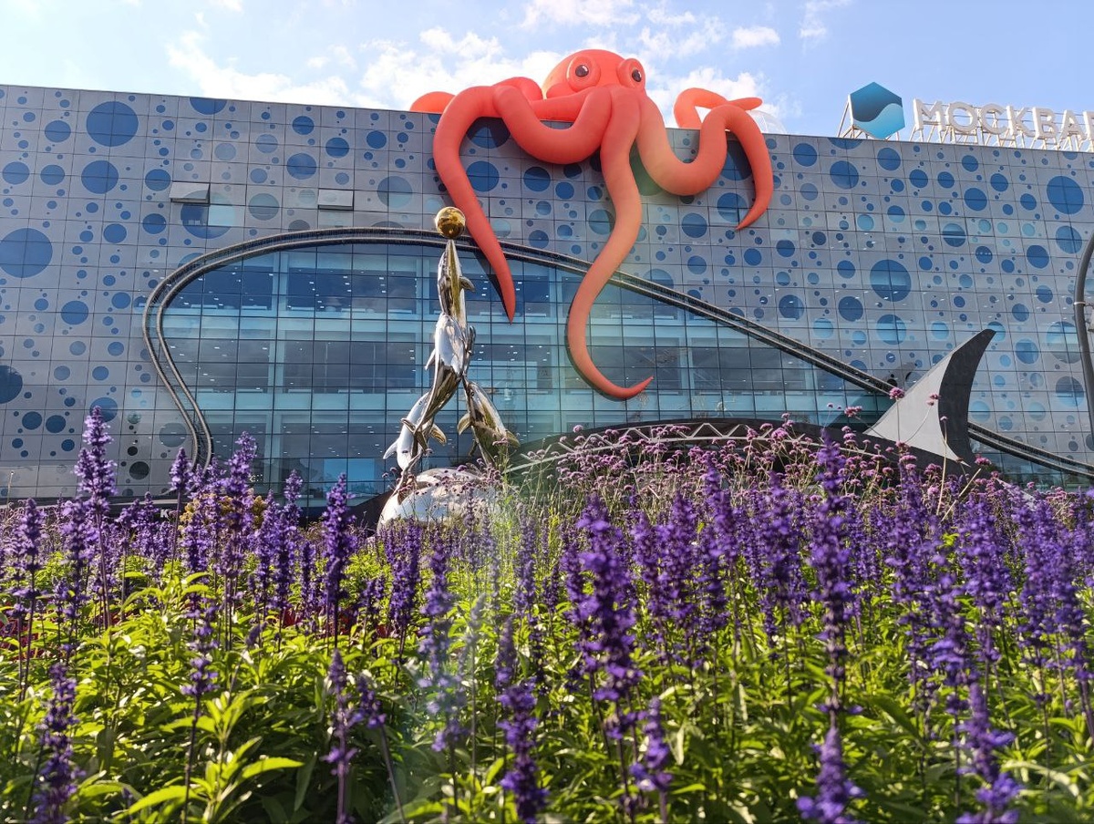 На входе и дельфины, и осьминоги, и плавник косатки проглядывается.