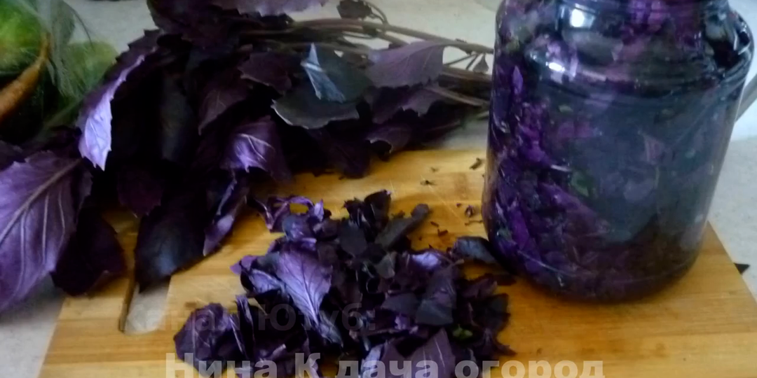 Приправа на зиму! Приготовь аромат лета - базиликовое масло! Как сохранить базилик на зиму без стерилизации