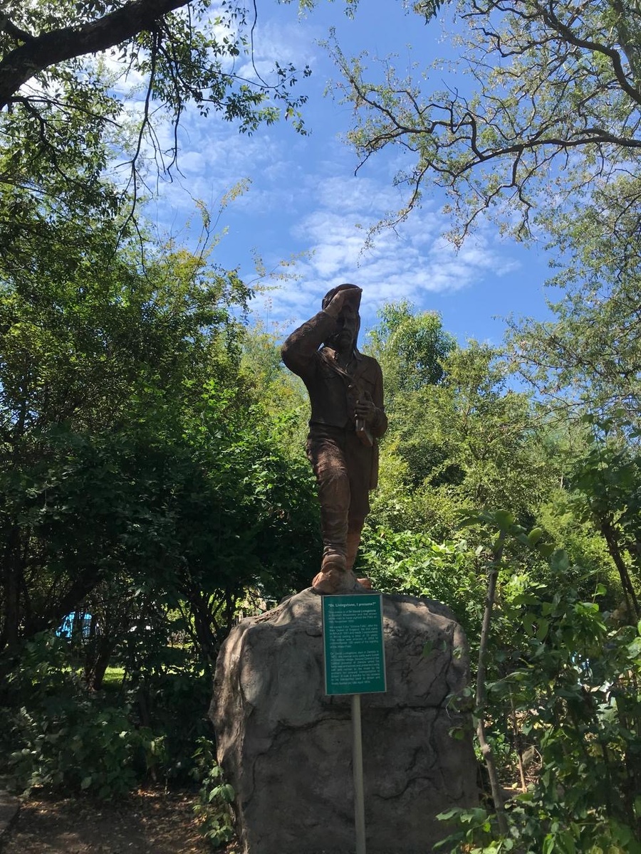 Дэвид Ливингстоун, в честь которого и назвали город