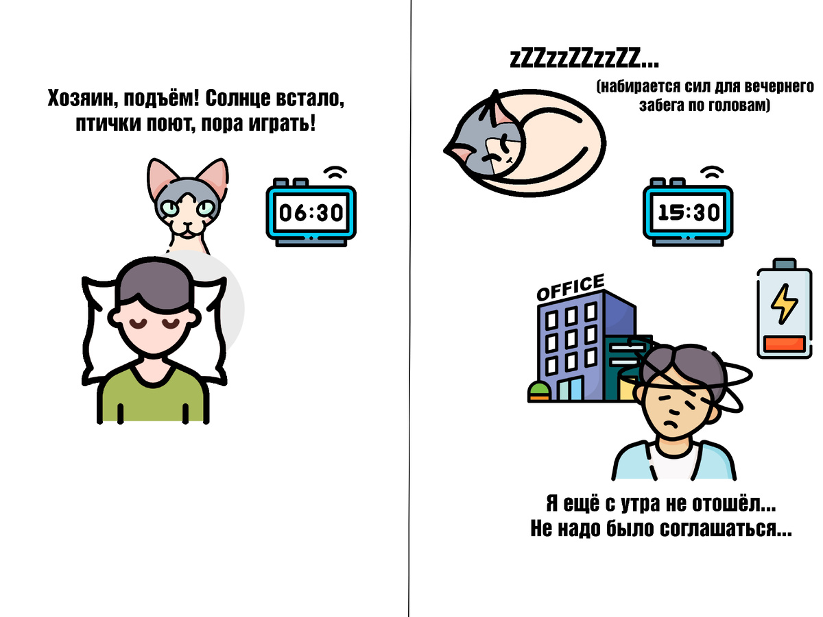 А ваш сфинкс - такой же? 😅