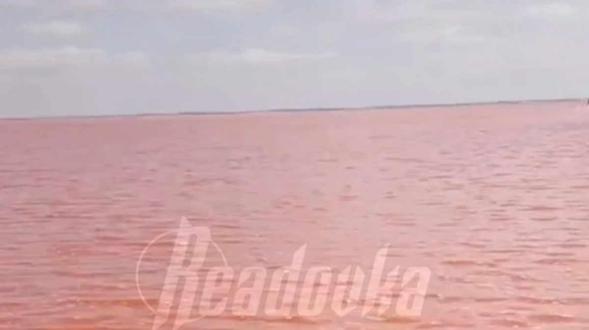    Фото: Скриншот видео / Readovka / Telegram